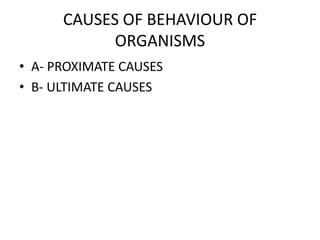 CAUSES OF BEHAVIOUR OF
ORGANISMS
• A- PROXIMATE CAUSES
• B- ULTIMATE CAUSES
 