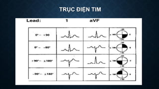 TRỤC ĐIỆN TIM
 