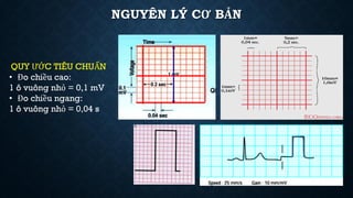 NGUYÊN LÝ CƠ BẢN
QUY ƯỚC TIÊU CHUẨN
• Đo chiều cao:
1 ô vuông nhỏ = 0,1 mV
• Đo chiều ngang:
1 ô vuông nhỏ = 0,04 s
 