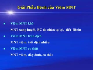 Giaûi Phaãu Beänh cuûa Vieâm MNT
◼ Vieâm MNT khoâ
MNT xung huyeát, BC ña nhaân tuï laïi, tieát fibrin
◼ Vieâm MNT traøn dòch
MNT vieâm, tieát dòch nhieàu
◼ Vieâm MNT co thaét
MNT vieâm, daøy dính, co thaét
 