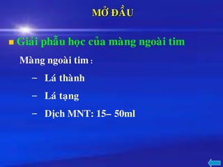 MÔÛ ÑAÀU
◼ Giaûi phaãu hoïc cuûa maøng ngoaøi tim
Maøng ngoaøi tim :
– Laù thaønh
– Laù taïng
– Dòch MNT: 15– 50ml
 