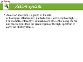 Photosynthesis - Introduction | PPT