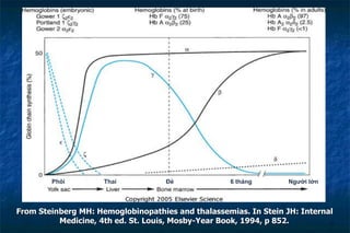 From Steinberg MH: Hemoglobinopathies and thalassemias. In Stein JH: Internal
Medicine, 4th ed. St. Louis, Mosby-Year Book, 1994, p 852.
Phôi Thai Đẻ Người lớn
6 tháng
 
