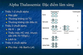  Thiếu 1-2 chuỗi alpha
 Hay gặp
 Thường không có TC
 Thường không cần điều trị
 Thiếu 3 chuỗi alpha
 Hb H - 4
 Thiếu máu HC nhỏ, nhược
sắc (Hb 70-100g/L)
 Lách to
 Thiếu 4 chuỗi alpha
 Phù thai - Hb Bart's (4)
Alpha Thalassemia: Đặc điểm lâm sàng
 