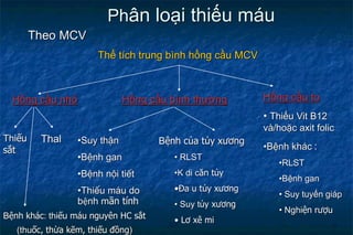 Phân loại thiếu máu
Theo MCV
Thể tích trung bình hồng cầu MCV
Hồng cầu nhỏ
Thiếu
sắt
Thal
Bệnh khác: thiếu máu nguyên HC sắt
(thuốc, thừa kẽm, thiếu đồng)
Hồng cầu bình thường Hồng cầu to
• Thiếu Vit B12
và/hoặc axit folic
•Bệnh khác :
•RLST
•Bệnh gan
• Suy tuyến giáp
• Nghiện rượu
Bệnh của tủy xương
• RLST
•K di căn tủy
•Đa u tủy xương
• Suy tủy xương
• Lơ xê mi
•Suy thËn
•BÖnh gan
•BÖnh néi tiÕt
•ThiÕu m¸u do
bệnh mãn tính
 