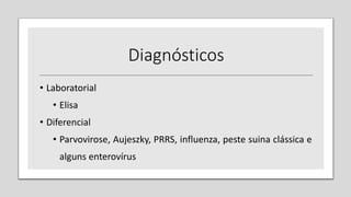 • Laboratorial
• Elisa
• Diferencial
• Parvovirose, Aujeszky, PRRS, influenza, peste suina clássica e
alguns enterovírus
Diagnósticos
 