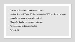 • Consumo de carne crua ou mal cozida
• Inativação a -15°C por 20 dias ou cocção 60°C por longo tempo
• Infecção na mucosa gastrointestinal
• Migração das larvas para os músculos
• Formação de cistos resistentes
• Novo ciclo
 