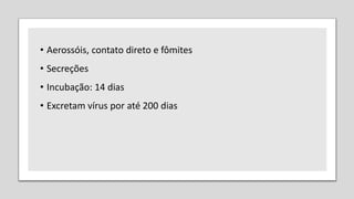 • Aerossóis, contato direto e fômites
• Secreções
• Incubação: 14 dias
• Excretam vírus por até 200 dias
 