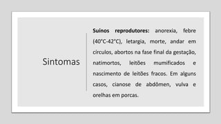 Sintomas
Suínos reprodutores: anorexia, febre
(40°C-42°C), letargia, morte, andar em
círculos, abortos na fase final da gestação,
natimortos, leitões mumificados e
nascimento de leitões fracos. Em alguns
casos, cianose de abdômen, vulva e
orelhas em porcas.
 