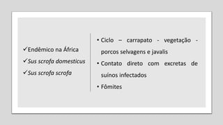 • Ciclo – carrapato - vegetação -
porcos selvagens e javalis
• Contato direto com excretas de
suínos infectados
• Fômites
Endêmico na África
Sus scrofa domesticus
Sus scrofa scrofa
 
