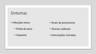 Sintomas
• Infecções leves:
• Perda de peso
• Caquexia
• Sinais de pneumonia
• Úlceras cutâneas
• Articulações inchadas
 