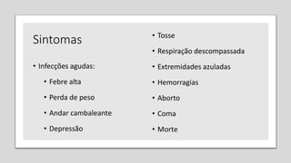 Sintomas
• Infecções agudas:
• Febre alta
• Perda de peso
• Andar cambaleante
• Depressão
• Tosse
• Respiração descompassada
• Extremidades azuladas
• Hemorragias
• Aborto
• Coma
• Morte
 