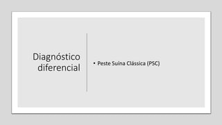 Diagnóstico
diferencial
• Peste Suína Clássica (PSC)
 