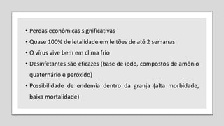 • Perdas econômicas significativas
• Quase 100% de letalidade em leitões de até 2 semanas
• O vírus vive bem em clima frio
• Desinfetantes são eficazes (base de iodo, compostos de amônio
quaternário e peróxido)
• Possibilidade de endemia dentro da granja (alta morbidade,
baixa mortalidade)
 
