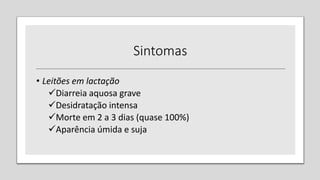 Sintomas
• Leitões em lactação
Diarreia aquosa grave
Desidratação intensa
Morte em 2 a 3 dias (quase 100%)
Aparência úmida e suja
 