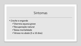 Sintomas
• Creche e engorda
Diarreia aquosa grave
Recuperação natural
Baixa mortalidade
Atraso no abate (5 a 10 dias)
 