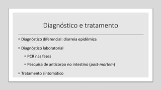 Diagnóstico e tratamento
• Diagnóstico diferencial: diarreia epidêmica
• Diagnóstico laboratorial
• PCR nas fezes
• Pesquisa de anticorpo no intestino (post-mortem)
• Tratamento sintomático
 