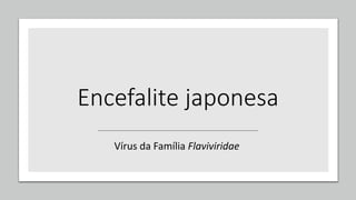 Encefalite japonesa
Vírus da Família Flaviviridae
 