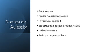 Doença de
Aujeszky
• Pseudo-raiva
• Família Alphaherpesviridae
• Herpesvirus suideo 1
• Sus scrofa são hospedeiros definitivos
• Latência elevada
• Pode passar para os fetos
 