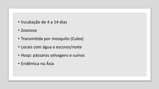 • Incubação de 4 a 14 dias
• Zoonose
• Transmitida por mosquito (Culex)
• Locais com água e escuros/noite
• Hosp: pássaros selvagens e suínos
• Endêmica na Ásia
 