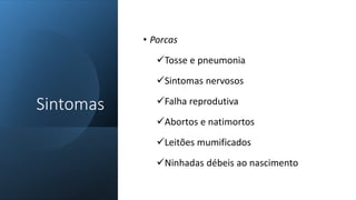• Porcas
Tosse e pneumonia
Sintomas nervosos
Falha reprodutiva
Abortos e natimortos
Leitões mumificados
Ninhadas débeis ao nascimento
Sintomas
 