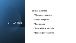 • Leitões lactantes
Sintomas nervosos
Tosse e espirros
Pneumonia
Mortalidade elevada
Leitões pouco viáveis
Sintomas
 