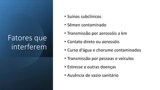Fatores que
interferem
• Suínos subclínicos
• Sêmen contaminado
• Transmissão por aerossóis a km
• Contato direto ou aerossóis
• Curso d'água e chorume contaminados
• Transmissão por pessoas e veículos
• Estresse e outras doenças
• Ausência de vazio sanitário
 