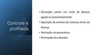 • Vacinação contra um surto de doença
aguda ou preventivamente
• Aquisição de animais de sistemas livres da
doença
• Vacinação na quarentena
• Eliminação dos doentes
Controle e
profilaxia
 