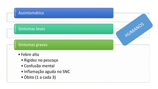 Assintomático
Sintomas leves
• Febre alta
• Rigidez no pescoço
• Confusão mental
• Inflamação aguda no SNC
• Óbito (1 a cada 3)
Sintomas graves
 