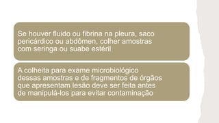 Se houver fluido ou fibrina na pleura, saco
pericárdico ou abdômen, colher amostras
com seringa ou suabe estéril
A colheita para exame microbiológico
dessas amostras e de fragmentos de órgãos
que apresentam lesão deve ser feita antes
de manipulá-los para evitar contaminação
 