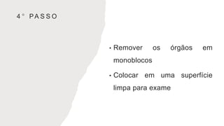 4 ° PA S S O
• Remover os órgãos em
monoblocos
• Colocar em uma superfície
limpa para exame
 
