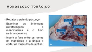 • Rebater a pele do pescoço
• Examinar os linfonodos
retrofaríngeos e
mandibulares e o timo
(animais jovens)
• Inserir a faca entre os ramos
da mandíbula e a língua e
cortar os músculos da sínfise
M O N O B L O C O T O R Á C I C O
 