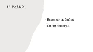 5 ° PA S S O
• Examinar os órgãos
• Colher amostras
 
