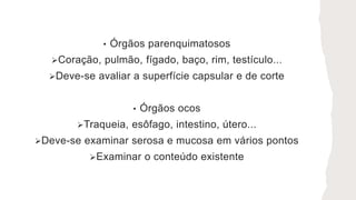 • Órgãos parenquimatosos
Coração, pulmão, fígado, baço, rim, testículo...
Deve-se avaliar a superfície capsular e de corte
• Órgãos ocos
Traqueia, esôfago, intestino, útero...
Deve-se examinar serosa e mucosa em vários pontos
Examinar o conteúdo existente
 