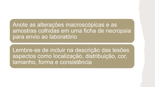 Anote as alterações macroscópicas e as
amostras colhidas em uma ficha de necropsia
para envio ao laboratório
Lembre-se de incluir na descrição das lesões
aspectos como localização, distribuição, cor,
tamanho, forma e consistência
 