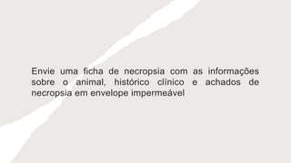 Envie uma ficha de necropsia com as informações
sobre o animal, histórico clínico e achados de
necropsia em envelope impermeável
 