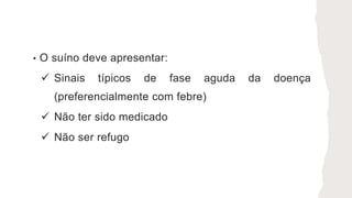 • O suíno deve apresentar:
 Sinais típicos de fase aguda da doença
(preferencialmente com febre)
 Não ter sido medicado
 Não ser refugo
 