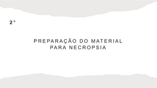 P R E PA R A Ç Ã O D O M AT E R I A L
PA R A N E C R O P S I A
2 °
 