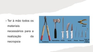 • Ter à mão todos os
materiais
necessários para a
realização da
necropsia
 