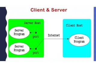 Client & Server
 