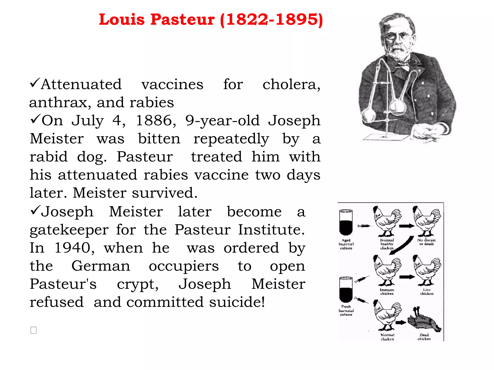 History of Immunology | PPTX