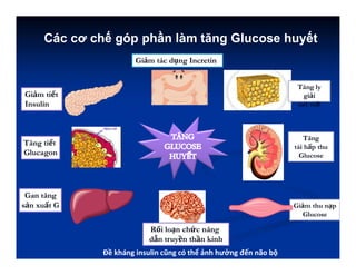 Các cơ chế góp phần làm tăng Glucose huyết
Giảm tiết
Insulin
Giảm tác dụng Incretin
Tăng ly
giải
mô mỡ
Gan tăng
sản xuất G
Tăng
tái hấp thu
Glucose
Giảm thu nạp
Glucose
Tăng tiết
Glucagon
Rối loạn chức năng
dẫn truyền thần kinh
Đề kháng insulin cũng có thể ảnh hưởng đến não bộ
 