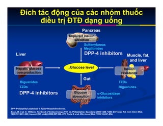 Đích tác động của các nhóm thuốc
điều trị ĐTĐ dạng uống
Buse JB et al. In: Williams Textbook of Endocrinology,11th ed. Philadelphia: Saunders; 2008:1329–1389; DeFronzo RA. Ann Intern Med.
1999;131:281–303; Inzucchi SE. JAMA 2002;287:360–372; Porte D et al. Clin Invest Med. 1995;18:247–254.
DPP-4=dipeptidyl peptidase 4; TZDs=thiazolidinediones.
Glucose
absorption
Hepatic glucose
overproduction
Impaired insulin
secretion
Pancreas
↓Glucose level
Muscle, fat,
and liver
Liver
Biguanides
TZDs Biguanides
Sulfonylureas
Meglitinides
TZDs
α-Glucosidase
inhibitors
Gut
DPP-4 inhibitors
DPP-4 inhibitors
Insulin
resistance
 