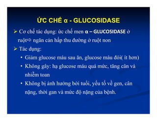 ỨC CHẾ α - GLUCOSIDASE
 Cơ chế tác dụng: ức chế men α – GLUCOSIDASE ở
ruột ngăn cản hấp thu đường ở ruột non
 Tác dụng:
• Giảm glucose máu sau ăn, glucose máu đói( ít hơn)
• Không gây: hạ glucose máu quá mức, tăng cân và
nhiễm toan
• Không bị ảnh hưởng bởi tuổi, yếu tố về gen, cân
nặng, thời gan và mức độ nặng của bệnh.
 