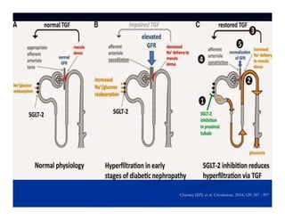 Cherney DZI, et al. Circulation;. 2014; 129: 587 - 597
 