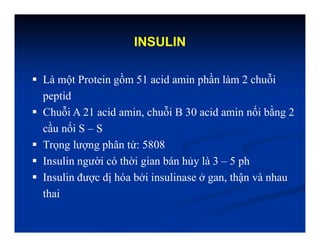 INSULIN
 Là một Protein gồm 51 acid amin phần làm 2 chuỗi
peptid
 Chuỗi A 21 acid amin, chuỗi B 30 acid amin nối bằng 2
cầu nối S – S
 Trọng lượng phân tử: 5808
 Insulin người có thời gian bán hủy là 3 – 5 ph
 Insulin được dị hóa bởi insulinase ở gan, thận và nhau
thai
 