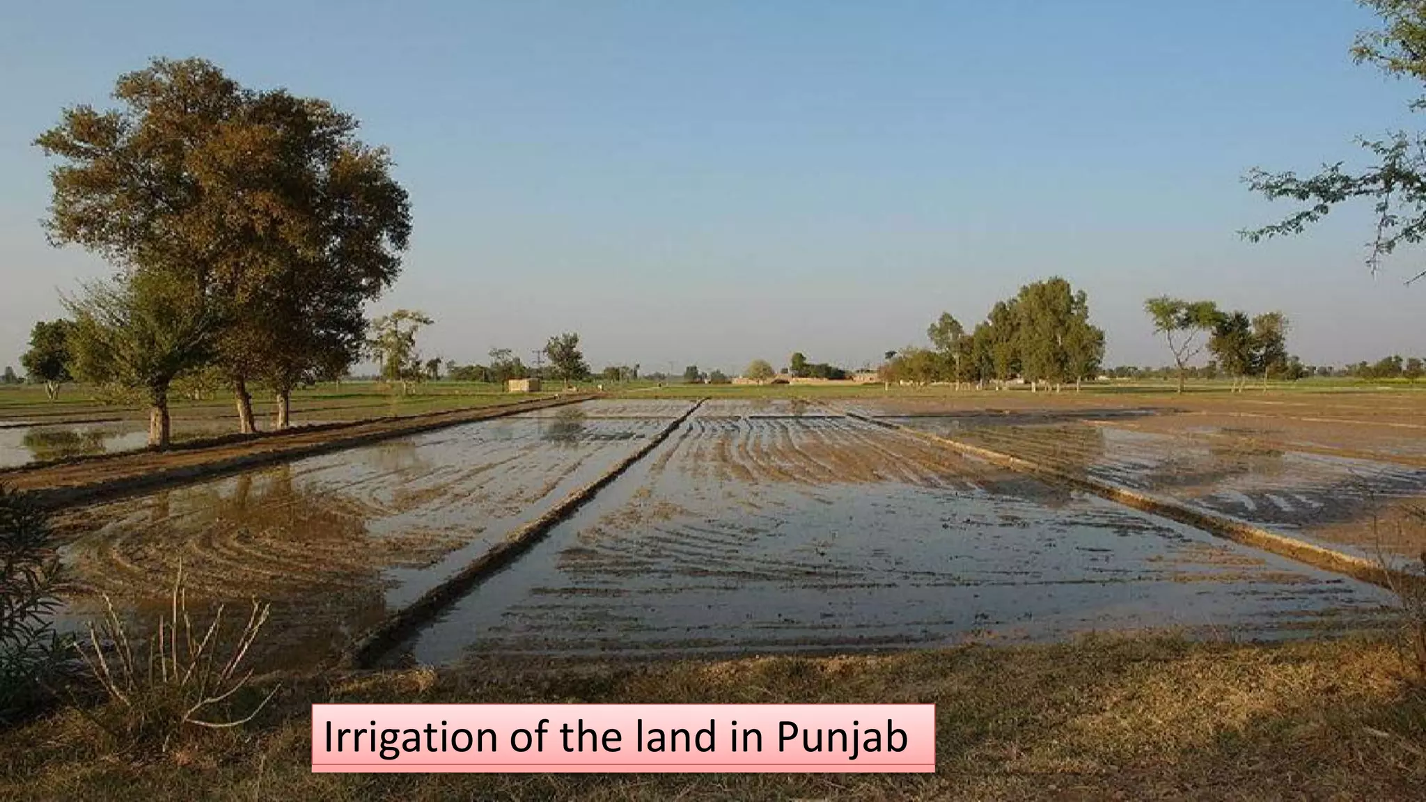 Irrigation of the land in Punjab
 