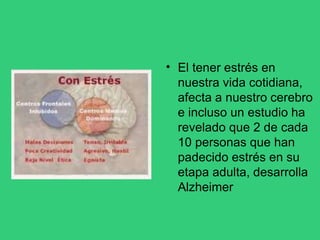 • El tener estrés en
nuestra vida cotidiana,
afecta a nuestro cerebro
e incluso un estudio ha
revelado que 2 de cada
10 personas que han
padecido estrés en su
etapa adulta, desarrolla
Alzheimer
 