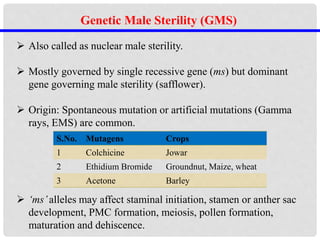 Genetic Male Sterility (GMS)
 Also called as nuclear male sterility.
 Mostly governed by single recessive gene (ms) but dominant
gene governing male sterility (safflower).
 Origin: Spontaneous mutation or artificial mutations (Gamma
rays, EMS) are common.
 ‘ms’alleles may affect staminal initiation, stamen or anther sac
development, PMC formation, meiosis, pollen formation,
maturation and dehiscence.
S.No. Mutagens Crops
1 Colchicine Jowar
2 Ethidium Bromide Groundnut, Maize, wheat
3 Acetone Barley
 