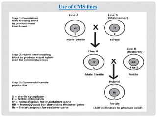 Use of CMS lines
 